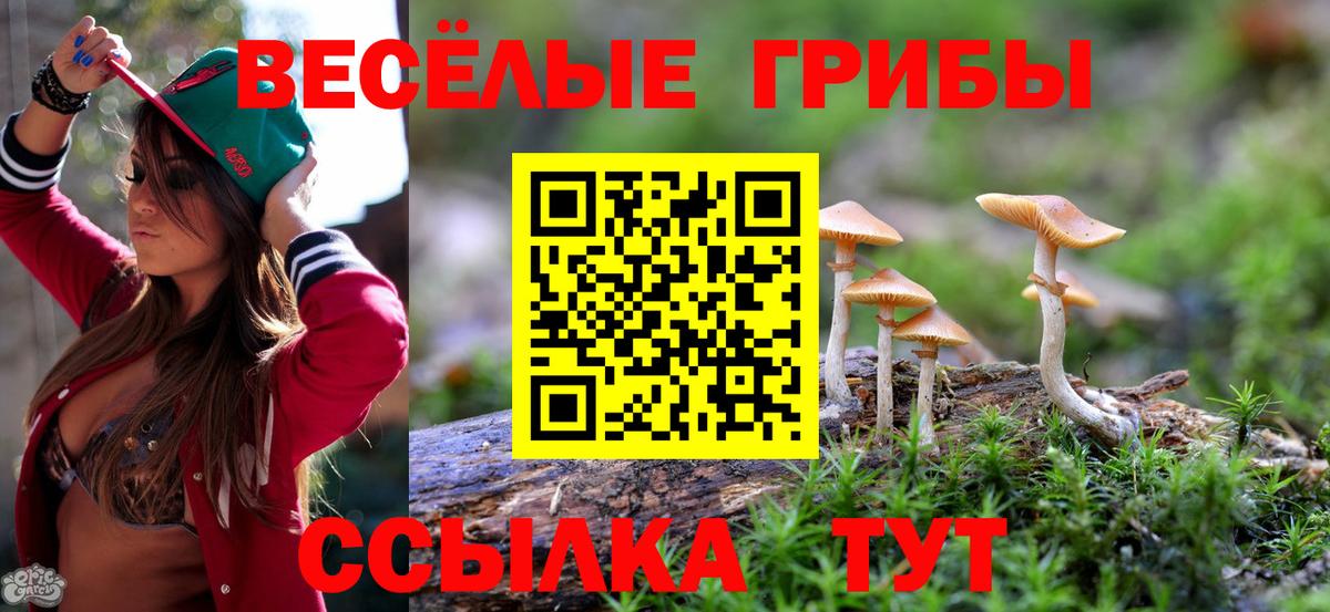 Псилоцибиновые грибы Magic Shrooms Брянск