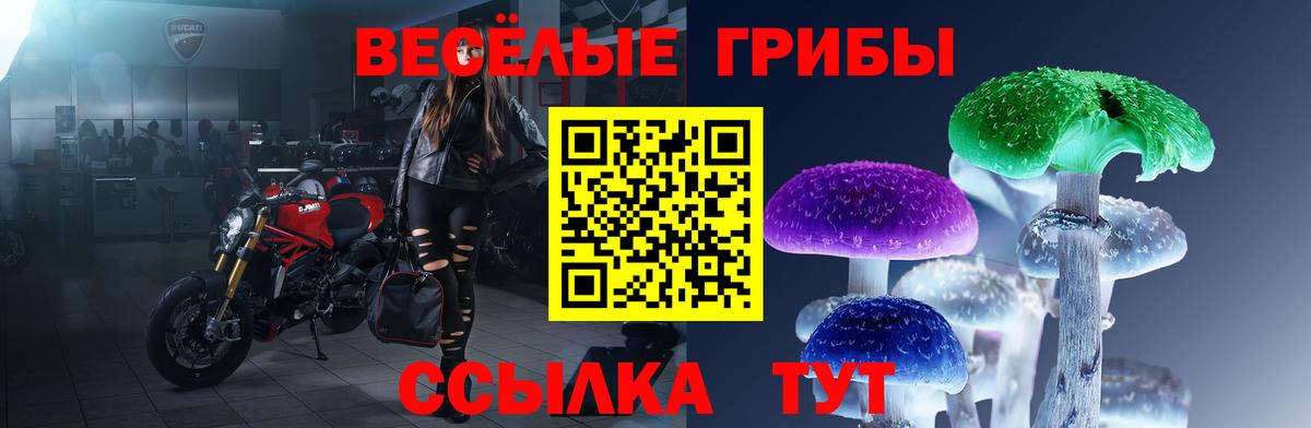 Галлюциногенные грибы Psilocybine cubensis  что такое наркотик  Брянск  Вход с VPN 